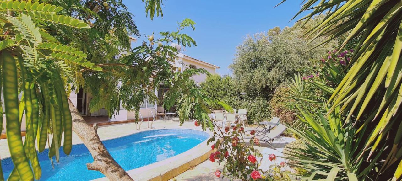Stay Swallow'S Nest Villa Айя Напа Екстериор снимка